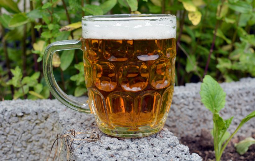 Slováci vypili vlani najviac piva za päť rokov