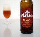 Platan - Granát tit
