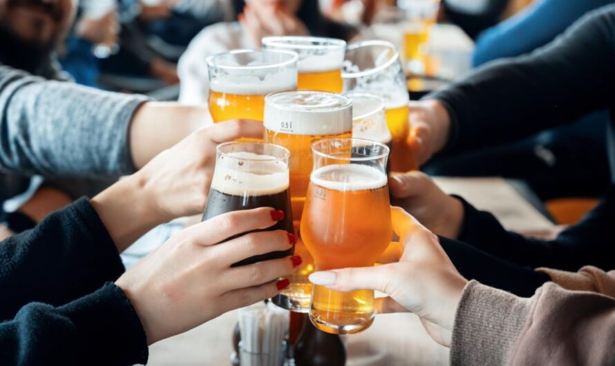 Pivo - Magnific